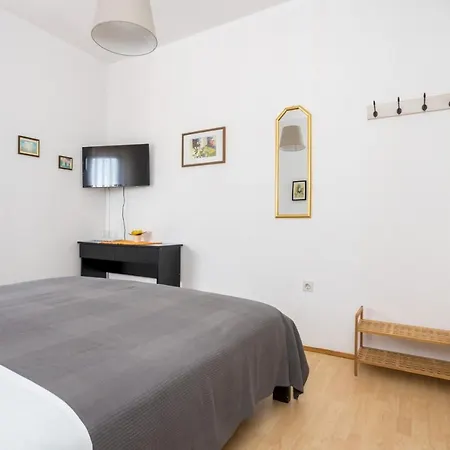 Guest house Dubasa Vantacici
